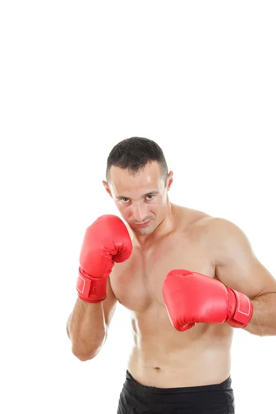 Boksör boks eldiveni savaş bir duruş ile savaşmaya hazır — Stok fotoğraf