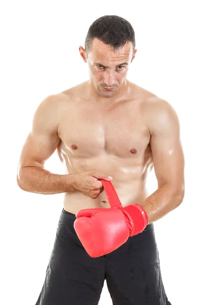 Hombre poniendo sus guantes de boxeo delante de la cámara y mirando — Foto de Stock