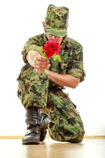 Soldado militar arrodillado sosteniendo rosa roja — Foto de Stock