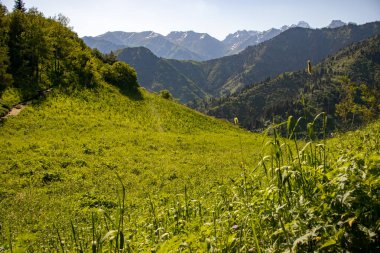 Yazın Almaty Dağları Manzaraları.