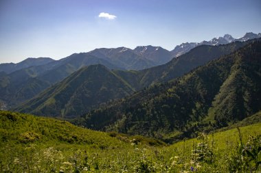 Yazın Almaty Dağları Manzaraları.