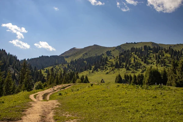 Yazın Almaty Dağları Manzaraları Telifsiz Stok Imajlar