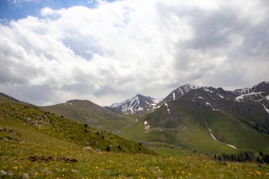 Yazın Almaty Dağları Manzaraları.