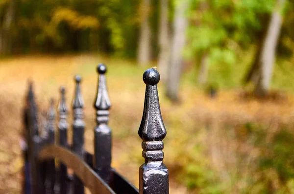 Σιδερένιος Φράχτης Στο Πάρκο Του Φθινοπώρου — Φωτογραφία Αρχείου