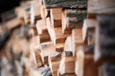 Akasya ağacı şömine ve barbekü için mükemmel bir yakıttır.