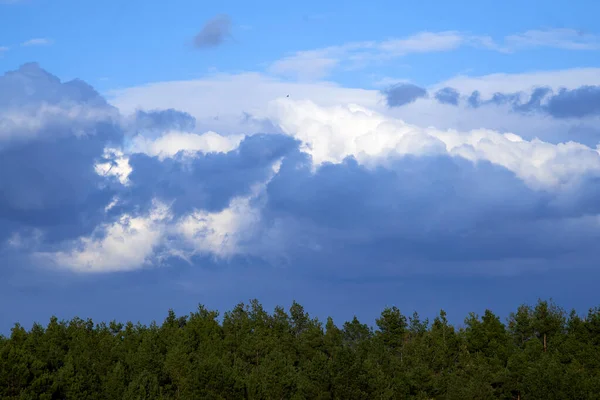 Chmury Niebie Sosnowy Las Kwietniu — Zdjęcie stockowe