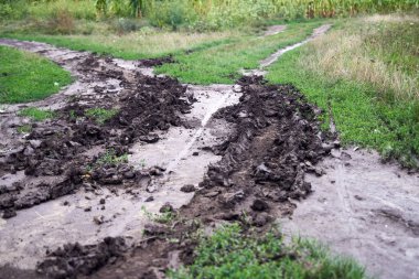Car tracks on a dirt road after rain