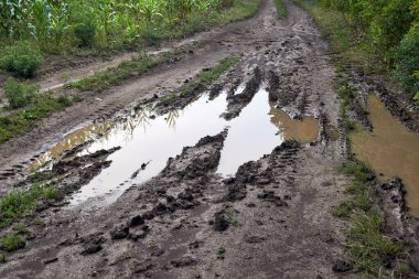 Puddles on a rural road after rain
