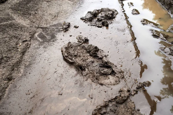 Footprints Dirt Road Rain — Stockfoto