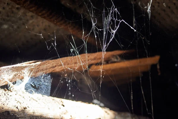 Foto Van Spinnenweb Zonlicht Natuurlijke Achtergrond — Stockfoto