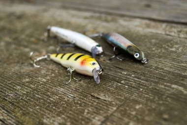 Ormandaki yırtıcı balıklar için üç yaltakçı