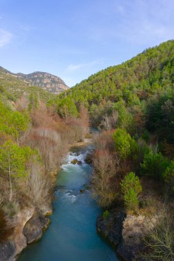 Yeşil çam ormanları arasında Katalan Pireneleri 'nden gelen turkuaz nehri