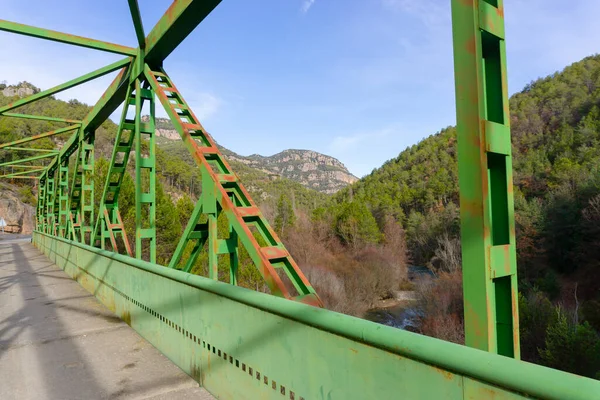 Σιδερένια Γέφυρα Πράσινου Και Σκουριασμένου Χρώματος Που Διασχίζει Ένα Δάσος — Φωτογραφία Αρχείου