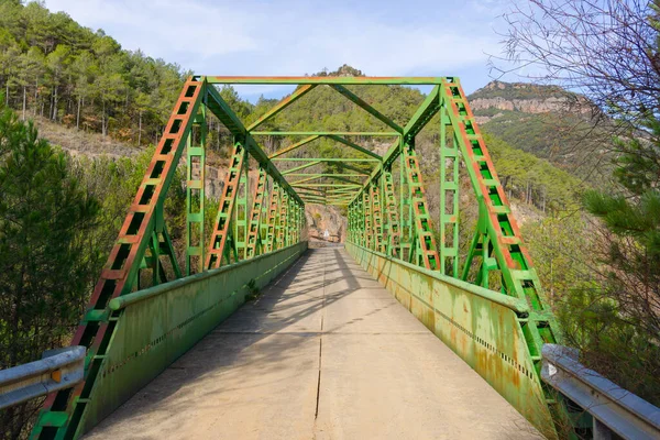 Puente Verde Para Coches Medio Bosque España — Foto de Stock