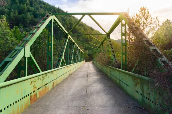 Puente Hierro Verde Que Separa Bosque Con Sol Del Atardecer — Foto de Stock