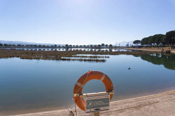 西班牙曼蕾莎 2022年2月6日 救生员用加泰罗尼亚语在马伦萨公园浮游和沐浴 — 图库照片