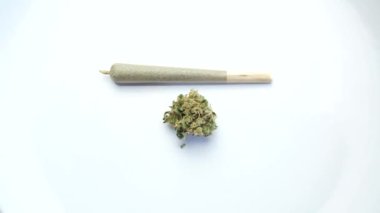 Beyaz arka planda dönen bir kenevir çiçeğinin yanında marihuana dükkanı