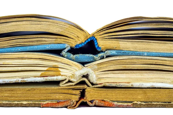 Closeup of three old opened books spine — Stock Photo, Image