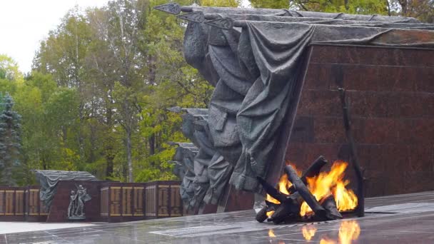 "Eternal Flame "op het gedenkteken" Partisan glade "in de regio Bryansk, Rusland — Stockvideo