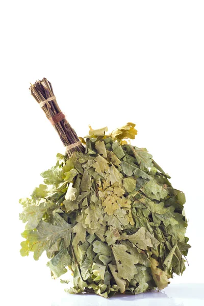 Oak broom — Stock Photo, Image