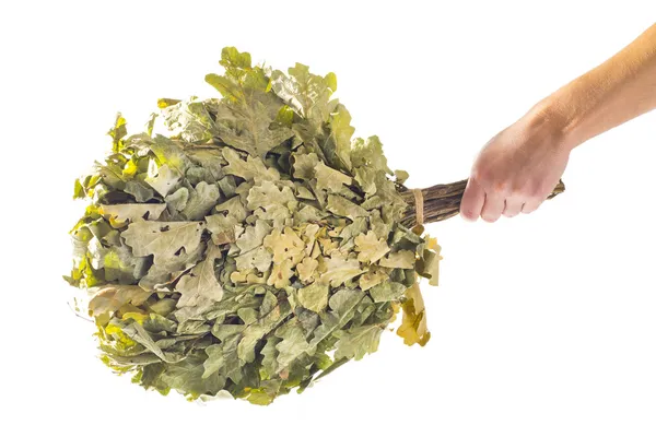 Hand holding an oak broom — Stock Photo, Image