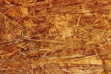 ayrıntı Sunta yakın çekim