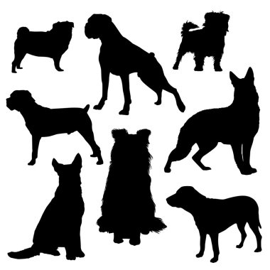 Köpek Silueti