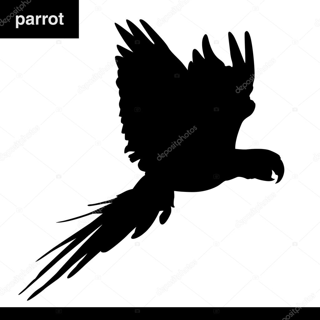Parrot Silhouette