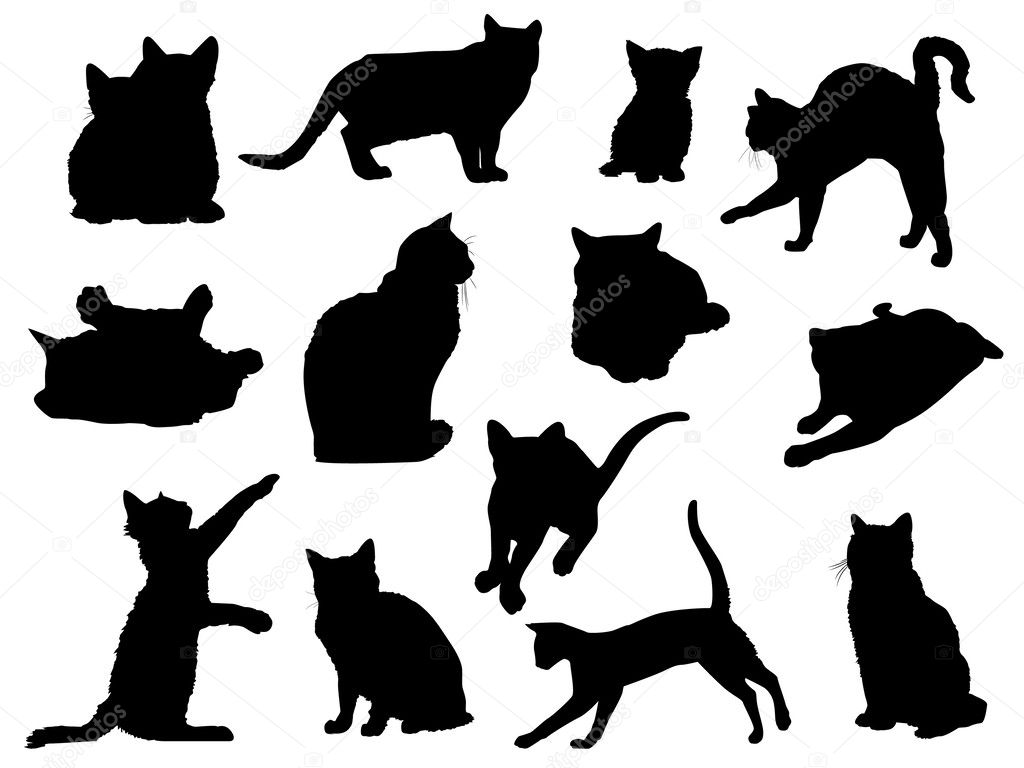 133.200+ Silhuetas De Gatos Ilustração de stock, gráficos vetoriais e  clipart royalty-free - iStock