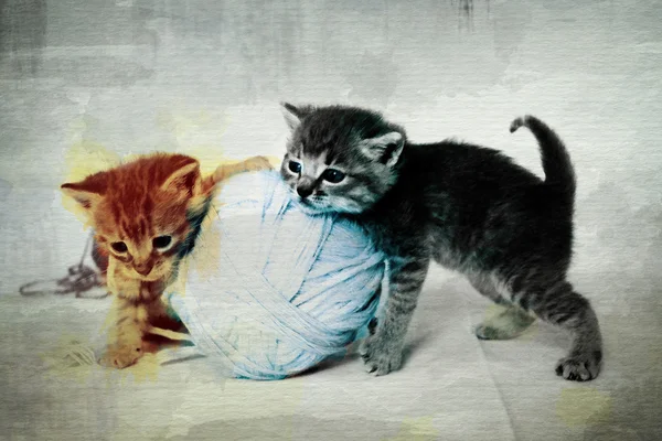 Kittens Playing — Stock Photo, Image