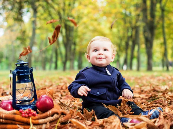 Söpö pikkupoika syksyllä puistossa — kuvapankkivalokuva