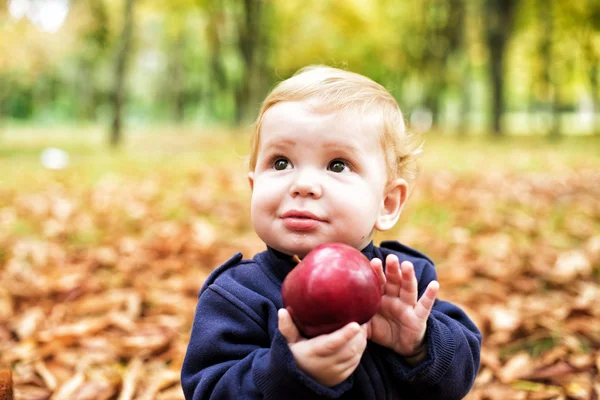 Cute little boy in the autumn park with a large red apple — Stock Photo, Image