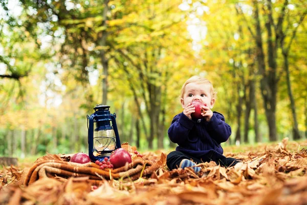 Lindo niño en el parque de otoño con una gran manzana roja — Foto de Stock