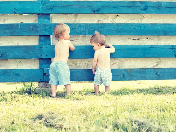 Two little cute boy standing back — Stock Photo, Image