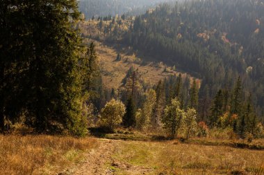Sonbaharda dağın güzel manzarası 