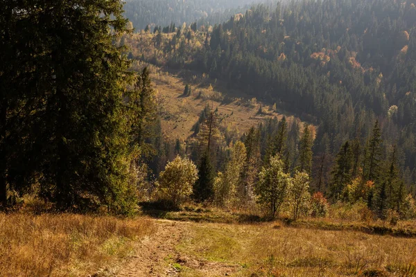 Sonbaharda dağın güzel manzarası 