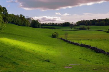 Gün batımında yeşil tepelerin manzarası
