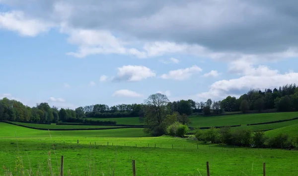 Grünes Feld Vor Blauem Himmel — Stockfoto