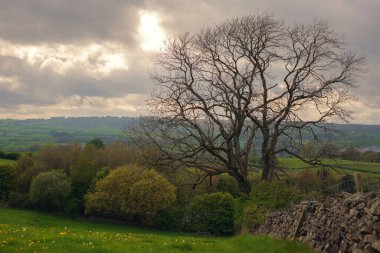 İngiltere 'de tepeler ve doğa