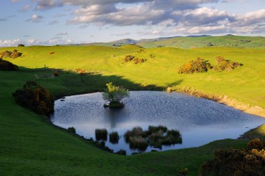 Colorful summer landscape with beautiful lake in sunlit green mountain valley