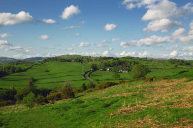 Fields and hills in spring
