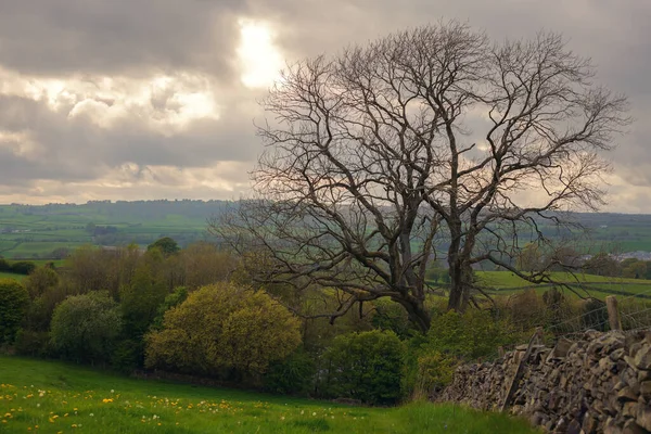 İngiltere 'de tepeler ve doğa
