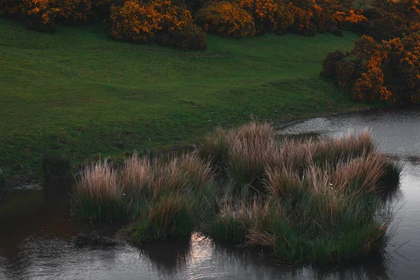 Part Lake Hills — Fotografia de Stock