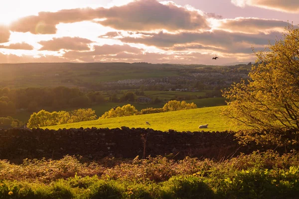 Prachtig Engels Landschap Lake District — Stockfoto
