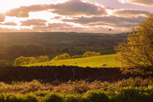 Güzel İngiliz manzarası. Lake District