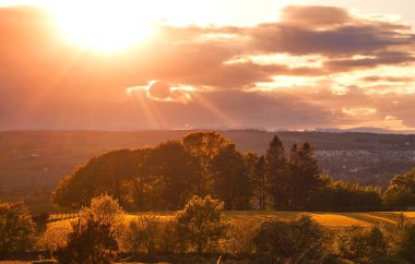 Dağların arasında sonbahar ağaçları olan vadi güneş batımında sarı pastel renklerle aydınlatılıyor.
