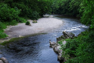 Orman manzarasında nehir şelalesi