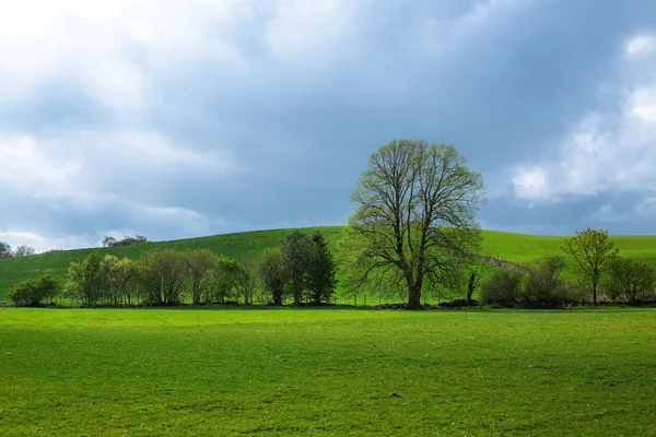 Ufukta dağ manzarası ve mavi bulutlu gökyüzü olan güzel kırsal alan. doğal arkaplan