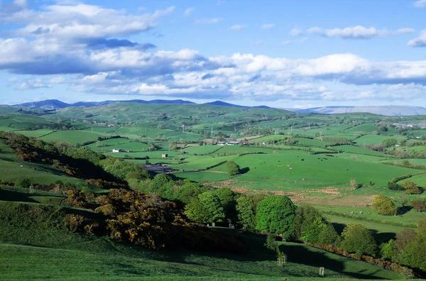 Kuzey Yorkshire, İngiltere 'de manzara