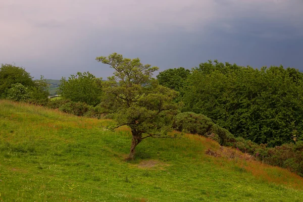 Beautiful English Green Hills Cloudy Sky — Stockfoto